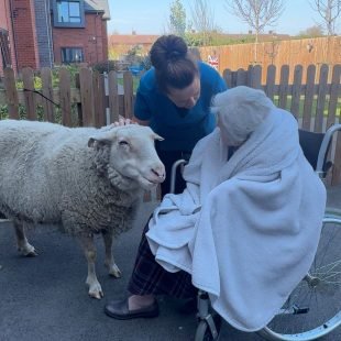 A Richard House resident meeting a sheep on a community farm visit